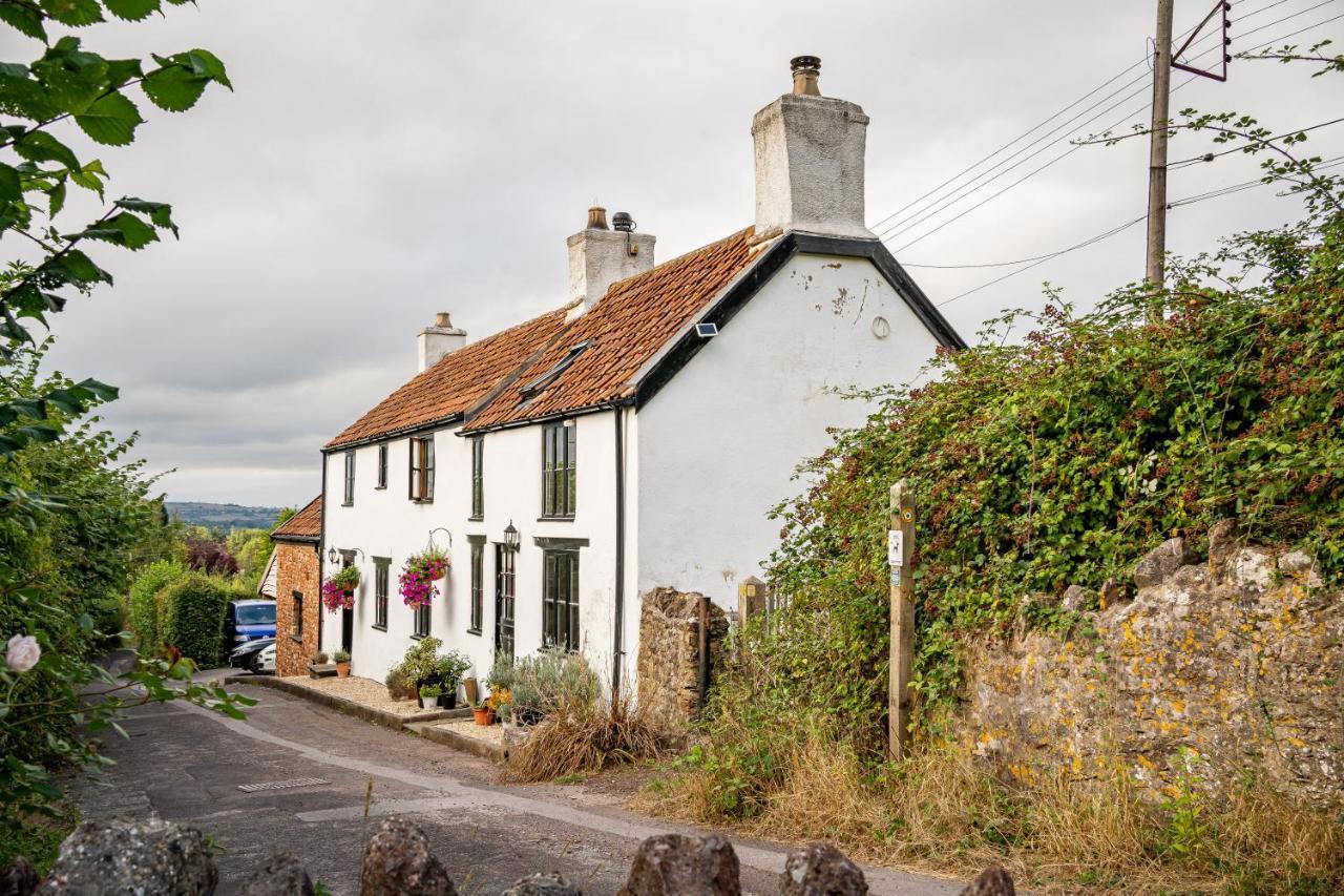 Woodview - Cosy 1840S Cottage In Chew Valley And Mendip Aonb Compton Martin Ngoại thất bức ảnh