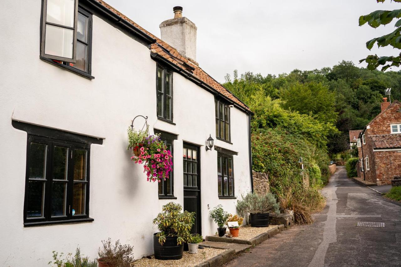 Woodview - Cosy 1840S Cottage In Chew Valley And Mendip Aonb Compton Martin Ngoại thất bức ảnh