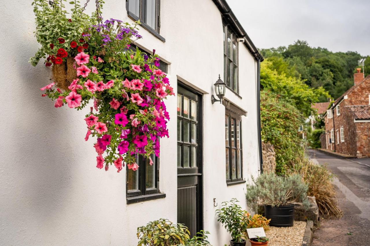 Woodview - Cosy 1840S Cottage In Chew Valley And Mendip Aonb Compton Martin Ngoại thất bức ảnh