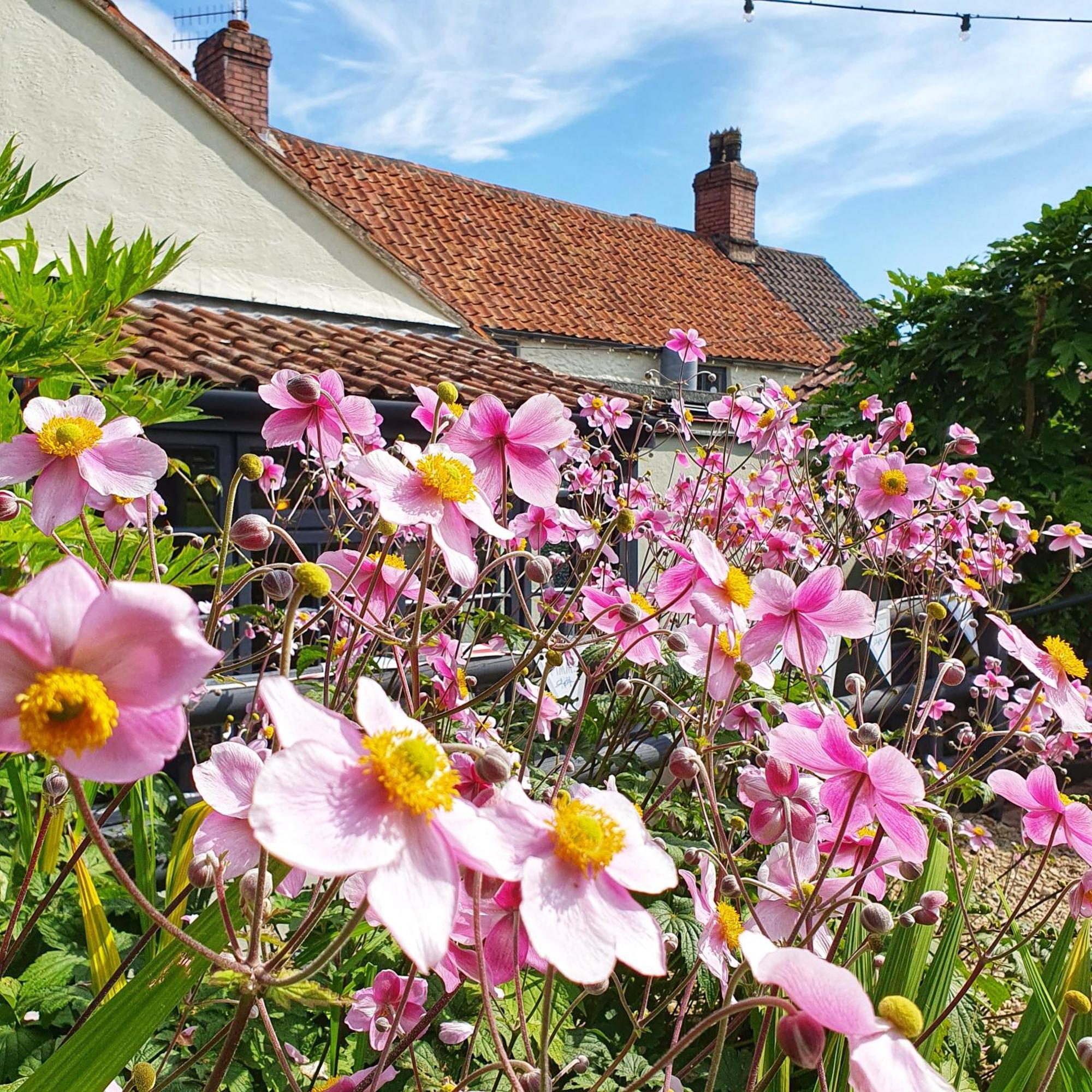 Woodview - Cosy 1840S Cottage In Chew Valley And Mendip Aonb Compton Martin Ngoại thất bức ảnh